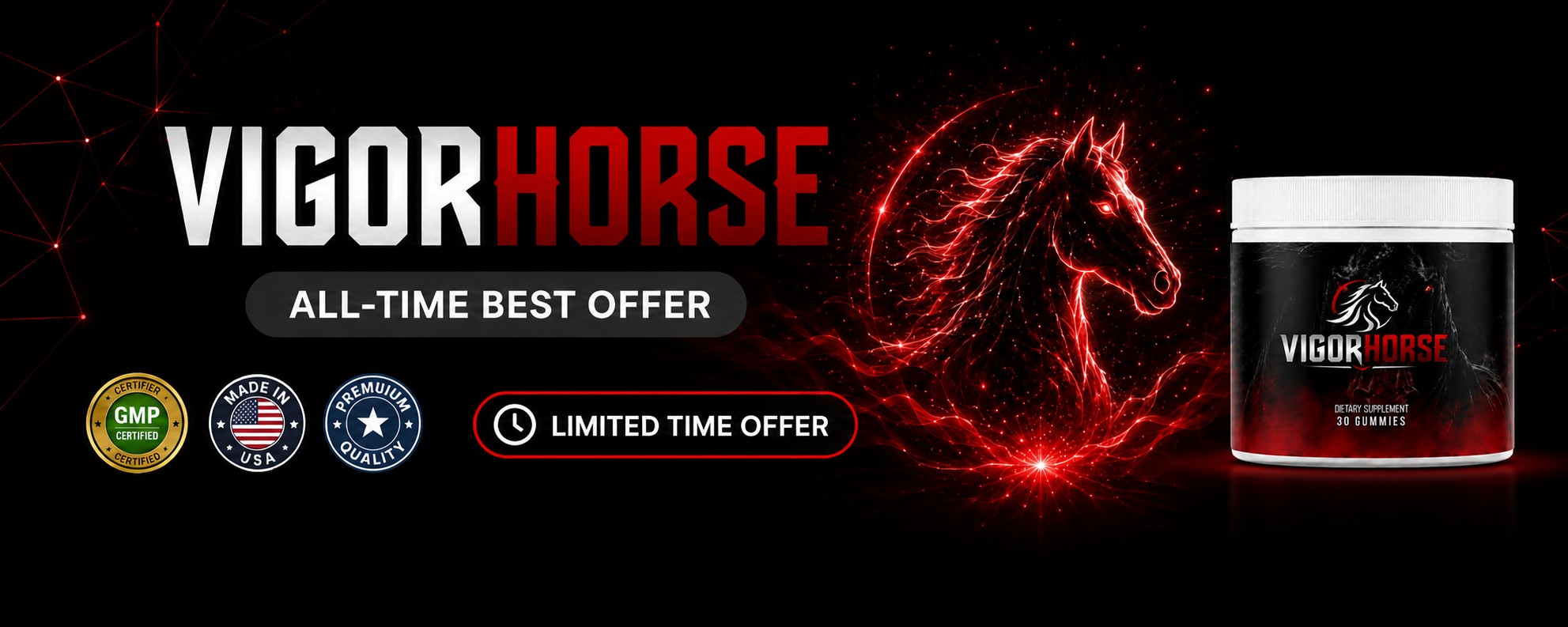 VigorHorse Footer Banner